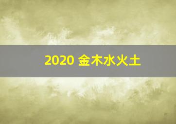 2020 金木水火土